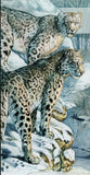 Snow Leopard Stamp Uncia Uncia Wild Animal S/S MNH #6541 / Bl.1145