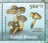 Mushrooms Stamp Boletus Junquilleus Laccaria Laccata S/S MNH #6542-6546