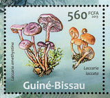 Mushrooms Stamp Boletus Junquilleus Laccaria Laccata S/S MNH #6542-6546