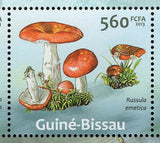 Mushrooms Stamp Boletus Junquilleus Laccaria Laccata S/S MNH #6542-6546