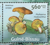 Mushrooms Stamp Boletus Junquilleus Laccaria Laccata S/S MNH #6542-6546