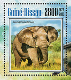 Elephants Stamp Loxodonta Africana Wild Animal S/S MNH #7025 / Bl.1231