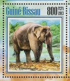 Elephants Stamp Loxodonta Africana Wild Animal S/S MNH #7021-7024