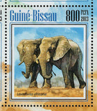 Elephants Stamp Loxodonta Africana Wild Animal S/S MNH #7021-7024