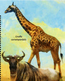 African Fauna Stamp Hippopotamus Amphibius Crocuta Crocuta S/S MNH #7045/Bl.1235