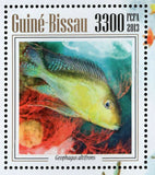 Corals and Fishes Stamp Geophagus Altifrons Choerodon S/S MNH #6852 / Bl.1203