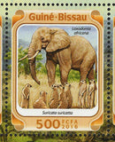 African Fauna Stamp Diceros Bicornis Panthera Leo S/S MNH #8446-8451