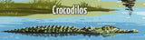 Crocodiles Stamp Crocodylus Niloticus Porosus S/S MNH #8237-8240