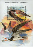 Skimmer Stamp Rynchops Flavirostris Bird Souvenir Sheet MNH #11532 / Bl.2602