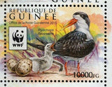 Skimmer Stamp Rynchops Flavirostris Bird Souvenir Sheet MNH #11528-11531