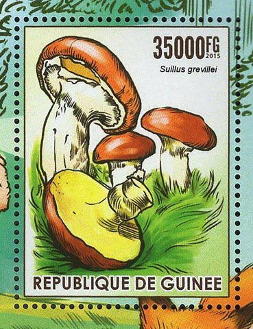 Mushrooms Stamp Suillus Grevillei Macrolepiota Procera S/S MNH #11287 / Bl.2553