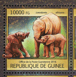 Elephants Stamp Loxodonta Africana Elephas Maximus S/S MNH #11851-11854