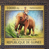 Elephants Stamp Loxodonta Africana Elephas Maximus S/S MNH #11851-11854