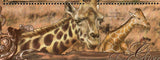 Giraffes Stamp Giraffa camelopardalis Panthera Leo S/S MNH #9829-9831