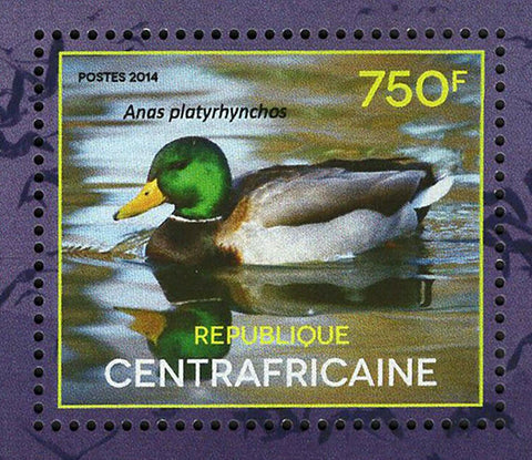 Water Birds Stamp Anas Platyrhynchos Cygnus Melancoryphus S/S MNH #5005-5008