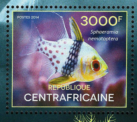 Fish Stamp Sphaeramia Nematoptera S/S MNH #5079 / Bl.1228