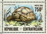 Turtles Stamp Chelonia Mydas Emys Orbicularis S/S MNH #6290-6293