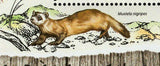 Endangered Species Stamp Pongo Pygmaeus Mustela Nigripes S/S MNH #6284 / Bl.1478