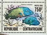 Endangered Species Stamp Gorilla Beringei Panthera Tigris S/S #6280-6283