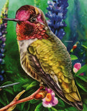 Hummingbirds Stamp Archilochus Colubris Lampornis Calolaemus S/S MNH #5914