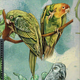 Parrots Stamp Trichoglossus Moluccanus Birds S/S MNH #880