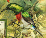 Sunbirds Stamp Anthreptes Malacensis Birds Spiderhunters S/S MNH #865