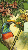 Sunbirds Stamp Nectarinia Famosa Birds Spiderhunters S/S MNH #867