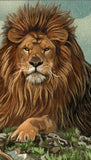 Lions Stamp Panthera Leo Azandica Souvenir Sheet MNH #900