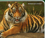 Tigers Stamp Panthera Tigris Sumatrae Altaica S/S MNH #5449 / Bl.1306