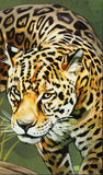 Big Cats Stamp Panthera Leo Wild Animal S/S MNH #896