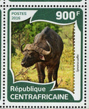 African Buffalos Stamp Syncerus Caffer Souvenir Sheet MNH #5955-5958