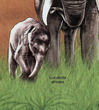 Elephants Stamp Loxodonta Africana Souvenir Sheet MNH #5147 / Bl.886