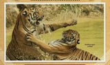 Tigers Stamp Panthera Tigris Sumatrae Corbetti S/S MNH #7602 / Bl.1052