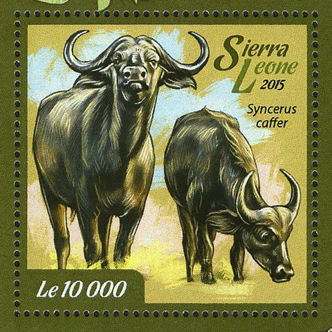 Buffalo Stamp Syncerus Caffer African Fauna S/S MNH #6049 / Bl.741