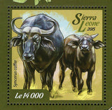 Buffalo Stamp Syncerus Caffer African Fauna S/S MNH #6048 / Bl.740