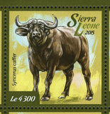 Buffalo Stamp Syncerus Caffer African Fauna S/S MNH #6042-6047