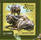 Buffalo Stamp Syncerus Caffer African Fauna S/S MNH #6042-6047