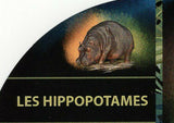 Hippopotamus Stamp Hippo Amphibious Souvenir Sheet MNH #1284