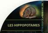 Hippopotamus Stamp Hippo Amphibious Souvenir Sheet MNH #1285