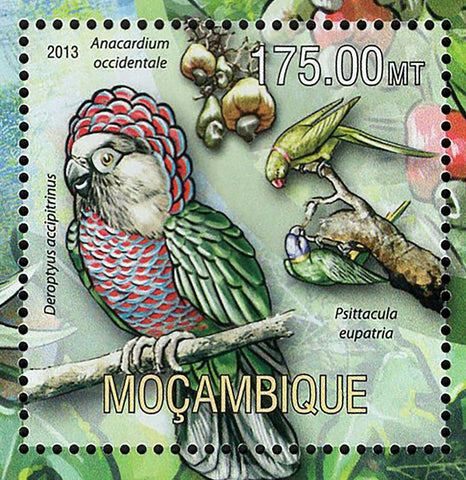 Parrots Stamp Deroptyus Accipitrinus Psittacula Eupatria S/S MNH #6691 / Bl.777