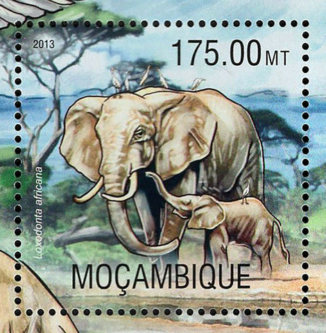 Elephant Stamp Loxodonta Africana Bubulcus Ibis S/S MNH #6701 / Bl.779