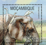 Elephant Stamp Loxodonta Africana Bubulcus Ibis S/S MNH #6697-6700