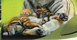 Tigers Stamp Panthera Tigris Altaica Souvenir Sheet MNH #1312