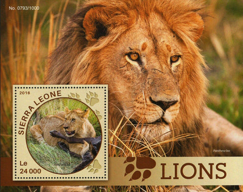 Lions Stamp Panthera Leo Wild Animal Souvenir Sheet MNH #6907 / Bl.913