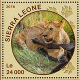 Lions Stamp Panthera Leo Wild Animal Souvenir Sheet MNH #6907 / Bl.913