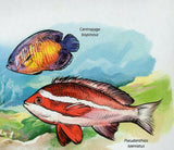 Fish Stamp Chaetodipterus Faber Zanclus Cornutus S/S MNH #7720-7723