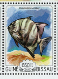 Fish Stamp Chaetodipterus Faber Zanclus Cornutus S/S MNH #7720-7723