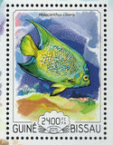 Fish Stamp Holacanthus Ciliaris Paracanthurus Hepatus S/S MNH #7724 / Bl.1343