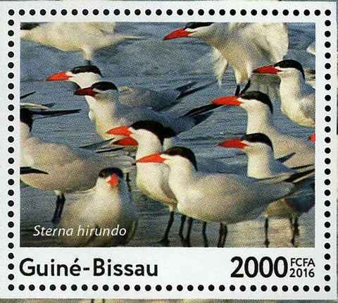 Birds Stamp Sterna Hirundo Sea Birds S/S MNH #8704 / Bl.1508