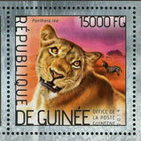 Lions Stamp Panthera Leo Wild Animal S/S MNH #10387-10389